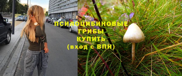 дживик Абаза