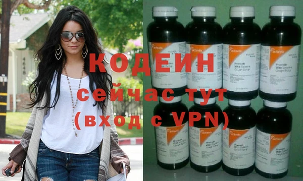 дживик Абаза