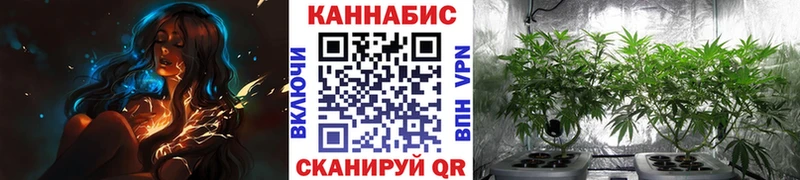 Шишки марихуана индика Кисловодск